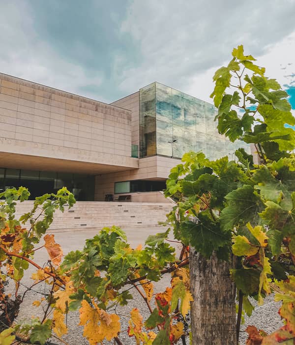 Residential Interior Designing